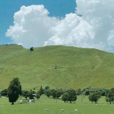 澳门天天免费资料大全下载