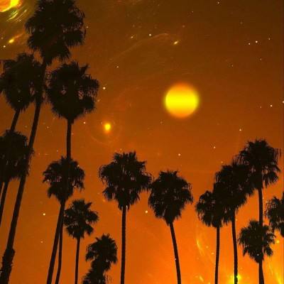 户员可以补办户口吗