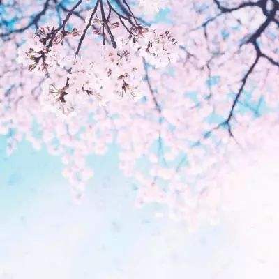 凯时AG登录入口