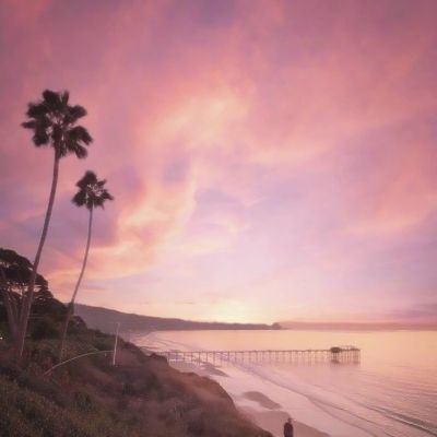 金博宝官网下载手机版