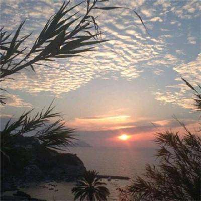 乐鱼竞彩官网app下载