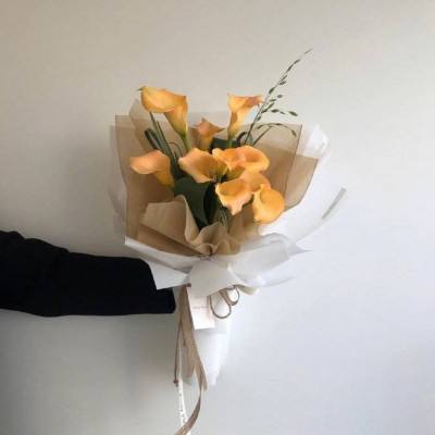 凯时AG登录入口