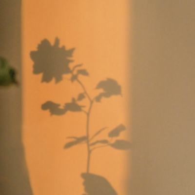 leyu·乐鱼中国官方网站