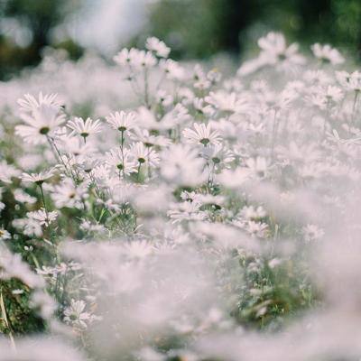 米乐m6网页版截图