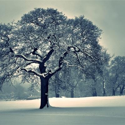 雷火亚洲电竞平台官网截图
