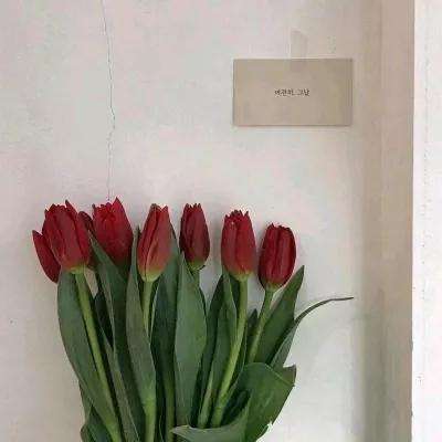 加拿大南宫NG娱乐app下载